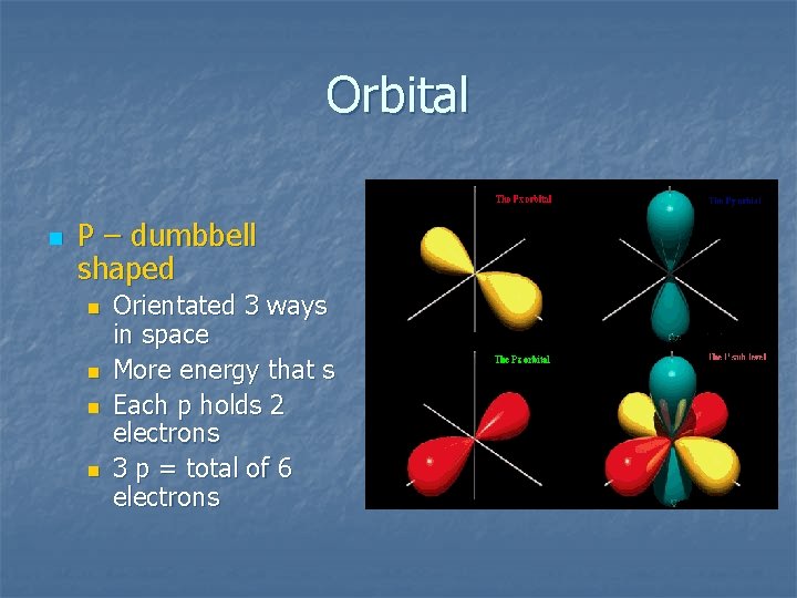 Orbital n P – dumbbell shaped n n Orientated 3 ways in space More