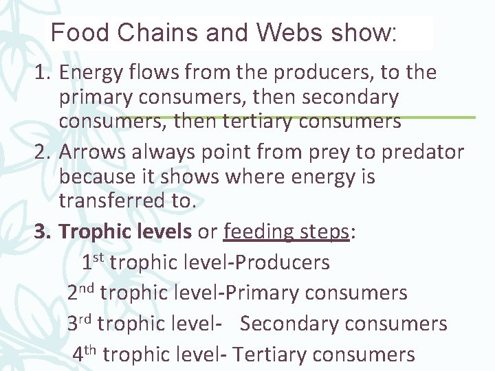 Food Chains and Webs show: 1. Energy flows from the producers, to the primary