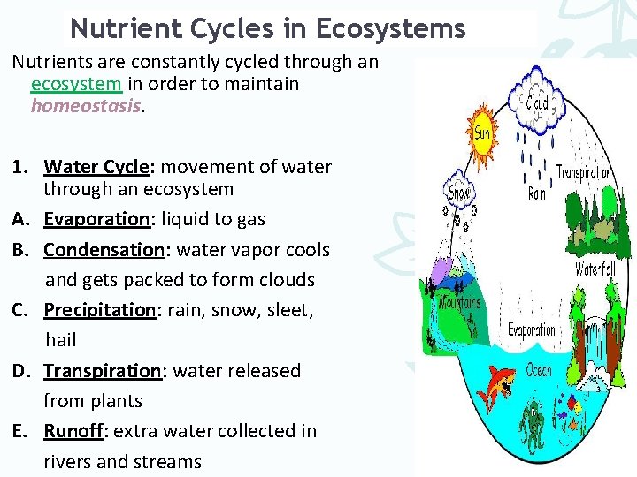 Nutrient Cycles in Ecosystems Nutrients are constantly cycled through an ecosystem in order to