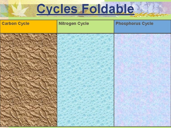 Cycles Foldable Carbon Cycle Nitrogen Cycle Phosphorus Cycle 