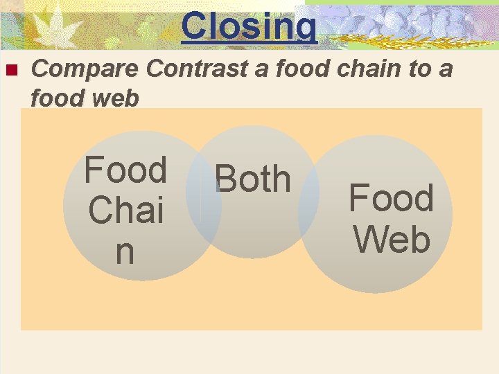 Closing n Compare Contrast a food chain to a food web Food Chai n