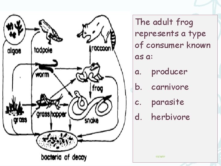 The adult frog represents a type of consumer known as a: a. producer b.