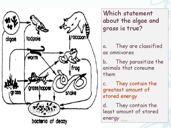 Which statement about the algae and grass is true? a. They are classified as