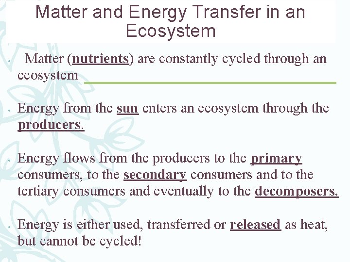 Matter and Energy Transfer in an Ecosystem • • Matter (nutrients) are constantly cycled