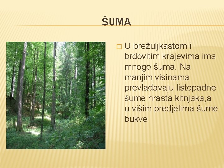 ŠUMA � U brežuljkastom i brdovitim krajevima mnogo šuma. Na manjim visinama prevladavaju listopadne