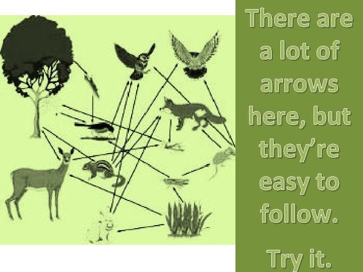 There a lot of arrows here, but they’re easy to follow. Try it. 