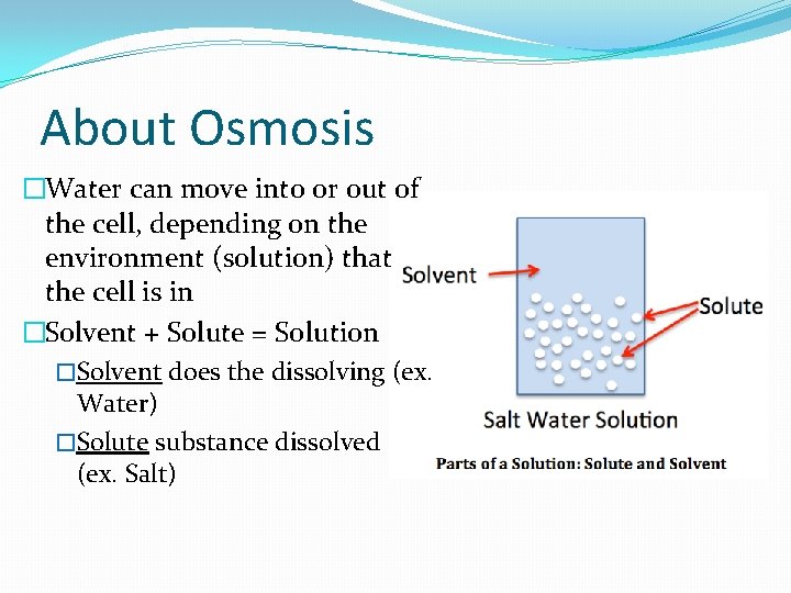 About Osmosis �Water can move into or out of the cell, depending on the