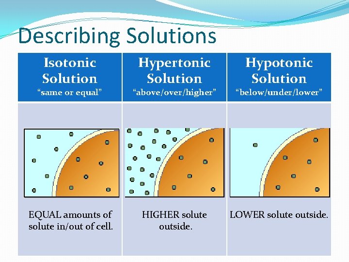Describing Solutions Isotonic Solution Hypertonic Solution Hypotonic Solution “same or equal” “above/over/higher” “below/under/lower” EQUAL