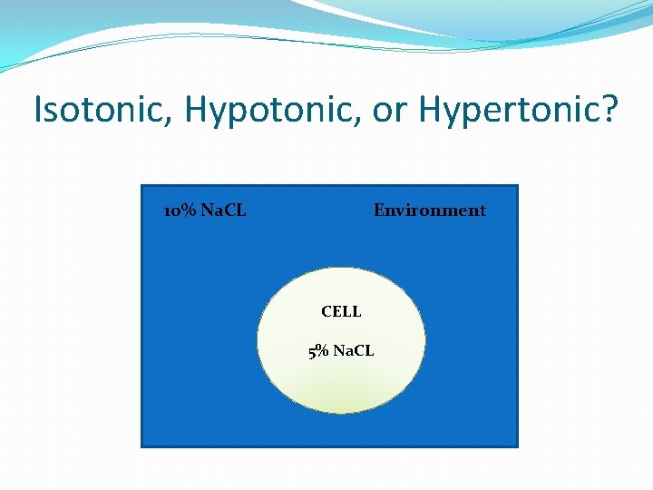 Isotonic, Hypotonic, or Hypertonic? 10% Na. CL Environment CELL 5% Na. CL 