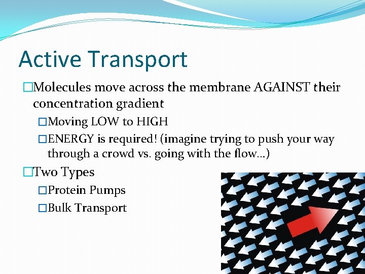 Active Transport �Molecules move across the membrane AGAINST their concentration gradient �Moving LOW to