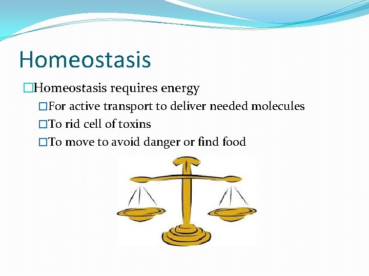 Homeostasis �Homeostasis requires energy �For active transport to deliver needed molecules �T 0 rid