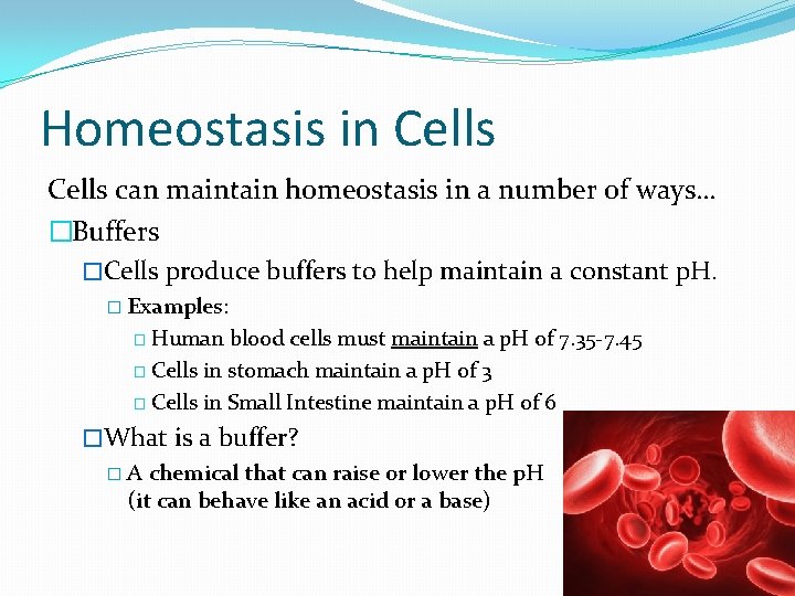 Homeostasis in Cells can maintain homeostasis in a number of ways… �Buffers �Cells produce