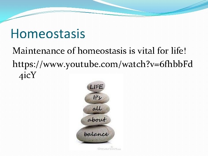 Homeostasis Maintenance of homeostasis is vital for life! https: //www. youtube. com/watch? v=6 fhbb.