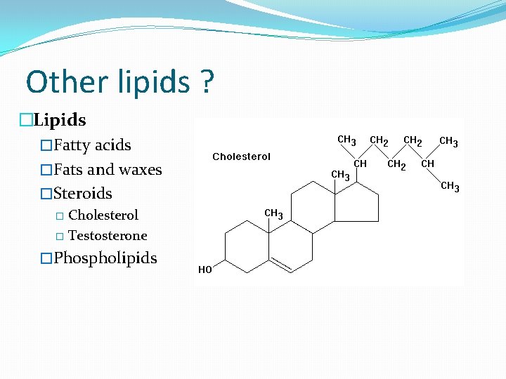 Other lipids ? �Lipids �Fatty acids �Fats and waxes �Steroids Cholesterol � Testosterone �