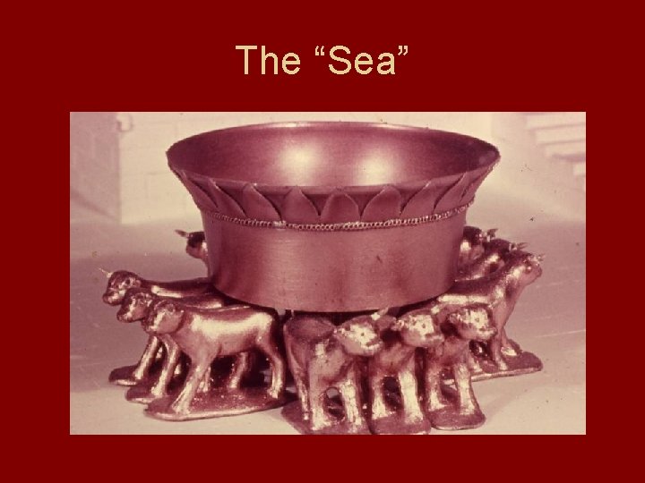 The “Sea” 