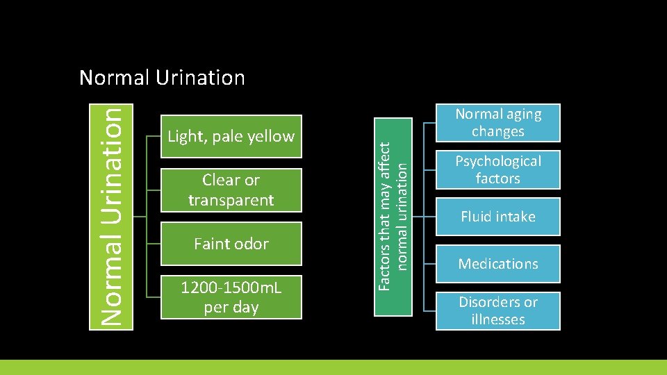 Urinary Elimination CHAPTER 16 Learning Objectives List qualities