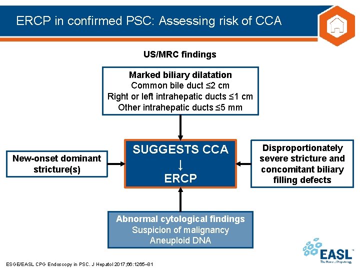 ERCP in confirmed PSC: Assessing risk of CCA US/MRC findings Marked biliary dilatation Common