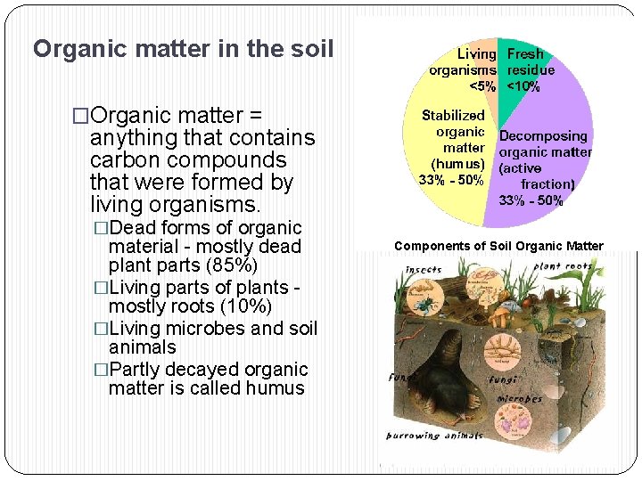 Organic matter in the soil �Organic matter = anything that contains carbon compounds that