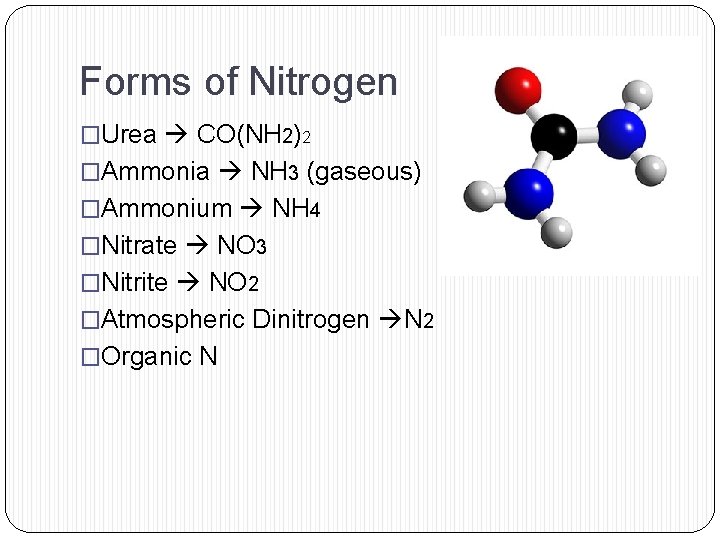 Forms of Nitrogen �Urea CO(NH 2)2 �Ammonia NH 3 (gaseous) �Ammonium NH 4 �Nitrate