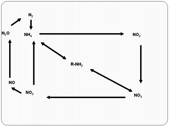 N 2 O NH 4 NO 2 R-NH 2 NO NO 2 NO 3