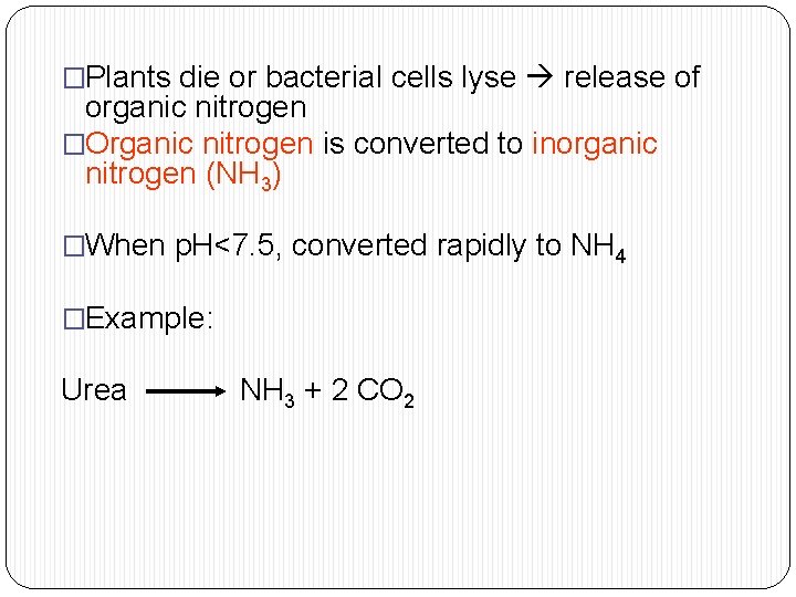�Plants die or bacterial cells lyse release of organic nitrogen �Organic nitrogen is converted