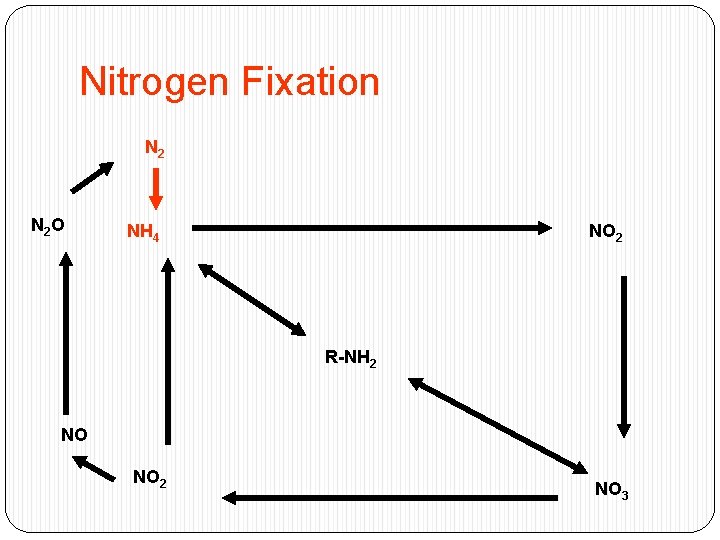 Nitrogen Fixation N 2 O NH 4 NO 2 R-NH 2 NO NO 2