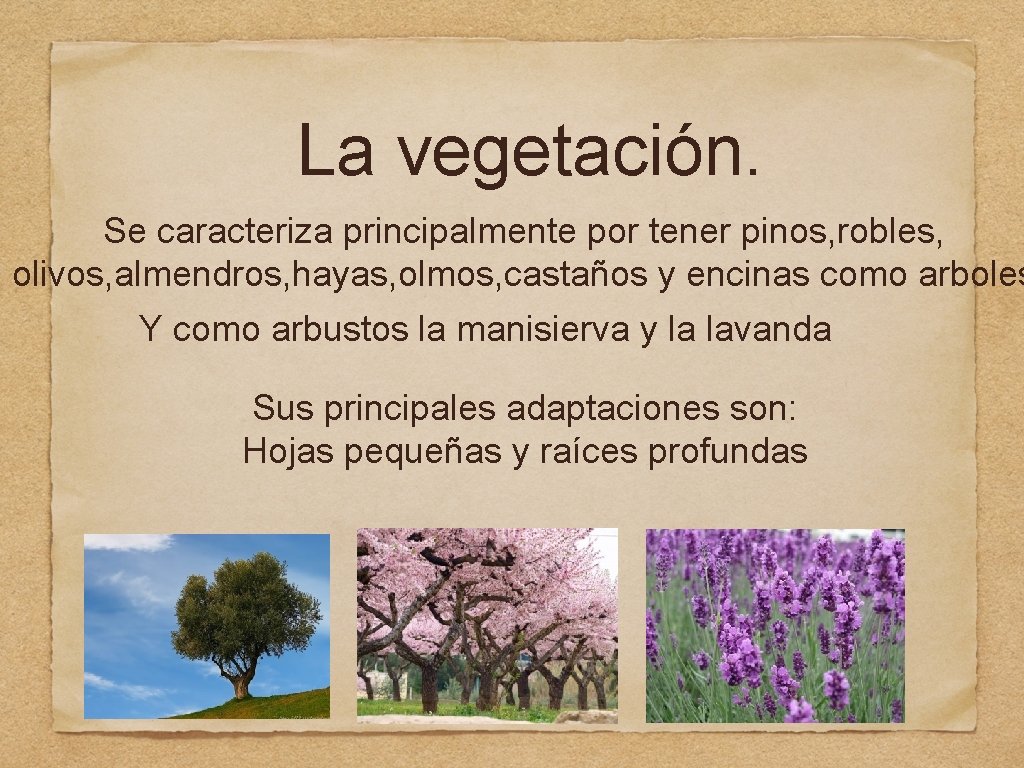 La vegetación. Se caracteriza principalmente por tener pinos, robles, olivos, almendros, hayas, olmos, castaños