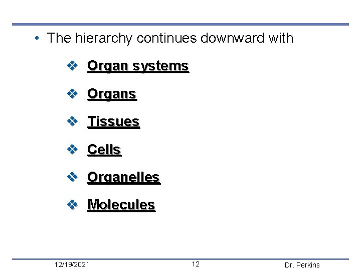  • The hierarchy continues downward with v Organ systems v Organs v Tissues