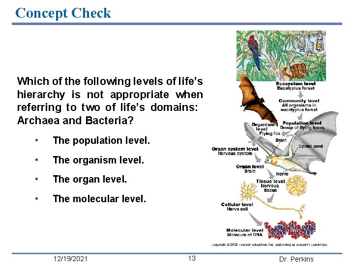 Concept Check Which of the following levels of life’s hierarchy is not appropriate when