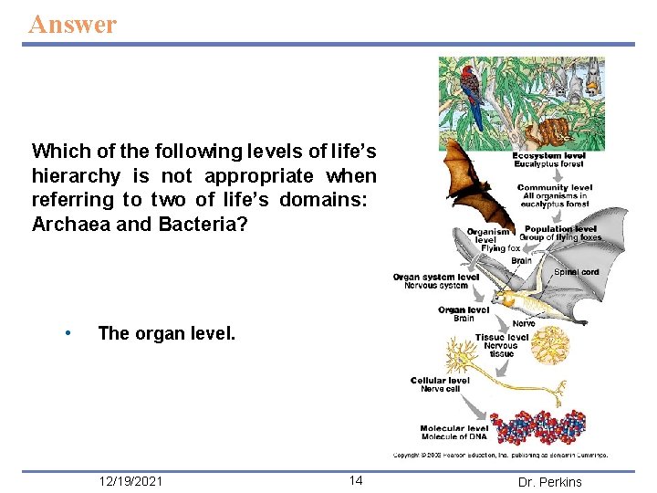 Answer Which of the following levels of life’s hierarchy is not appropriate when referring