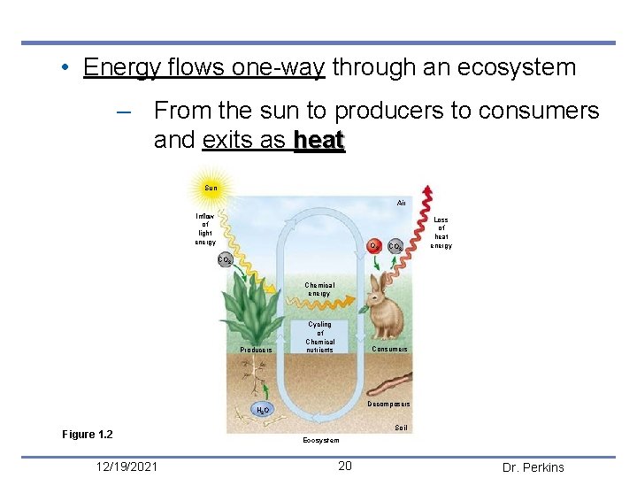  • Energy flows one-way through an ecosystem – From the sun to producers
