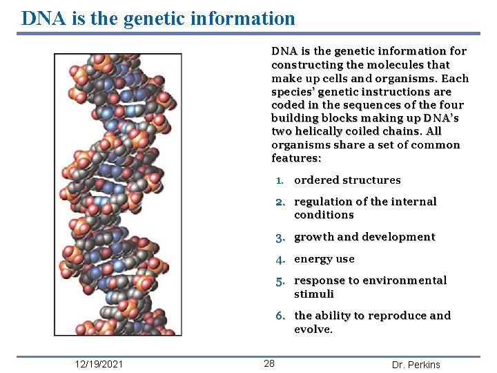 DNA is the genetic information for constructing the molecules that make up cells and