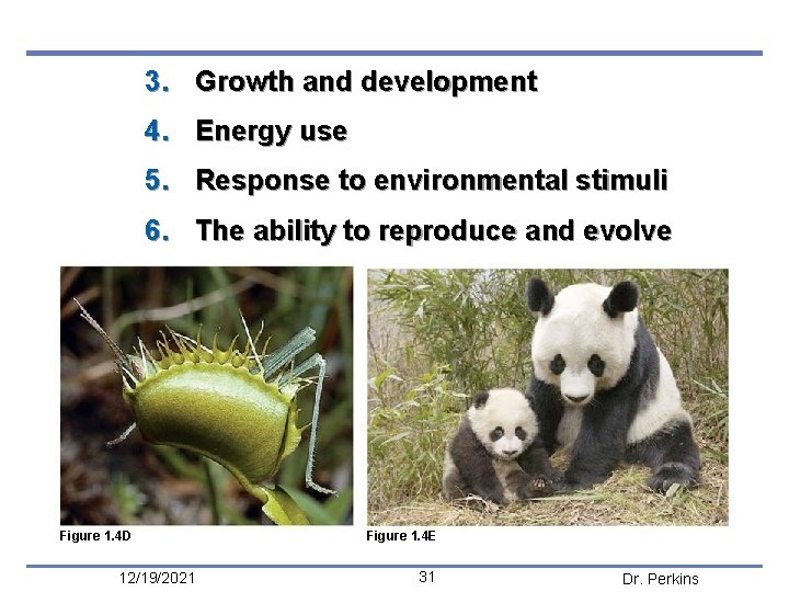 3. Growth and development 4. Energy use 5. Response to environmental stimuli 6. The