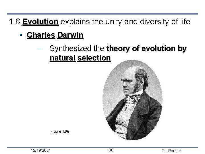 1. 6 Evolution explains the unity and diversity of life • Charles Dar win
