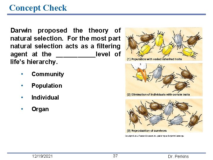 Concept Check Darwin proposed theory of natural selection. For the most part natural selection