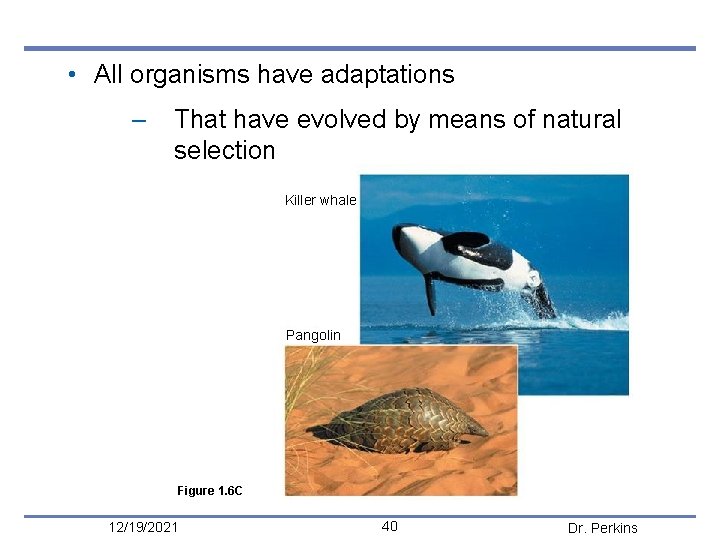  • All organisms have adaptations – That have evolved by means of natural
