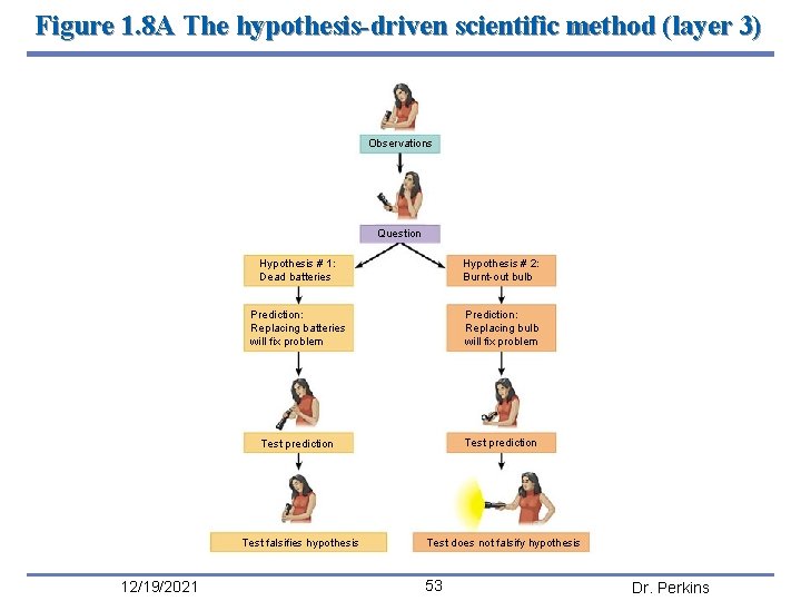 Figure 1. 8 A The hypothesis-driven scientific method (layer 3) Observations Question Hypothesis #