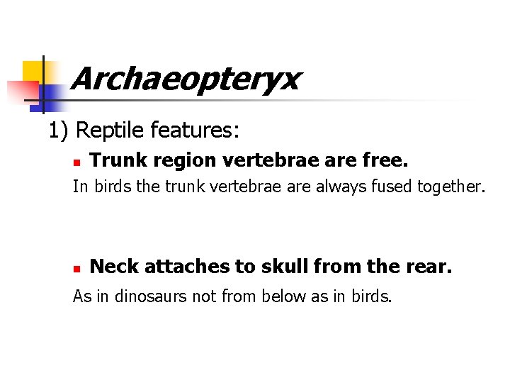 Archaeopteryx 1) Reptile features: n Trunk region vertebrae are free. In birds the trunk