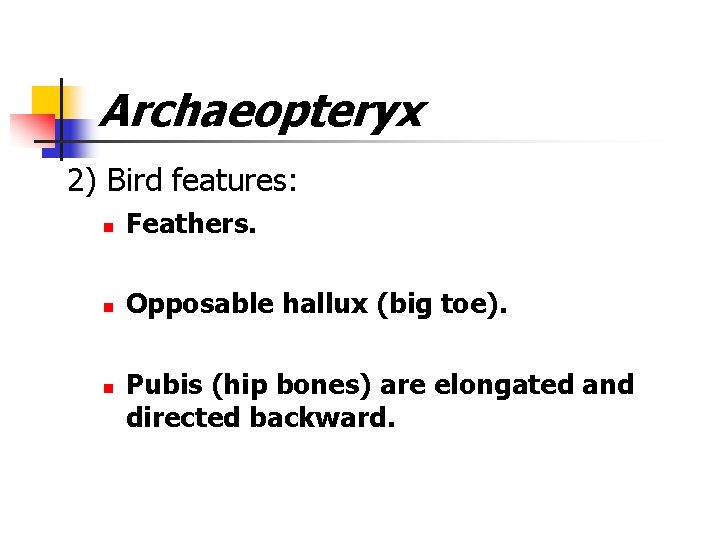Archaeopteryx 2) Bird features: n Feathers. n Opposable hallux (big toe). n Pubis (hip