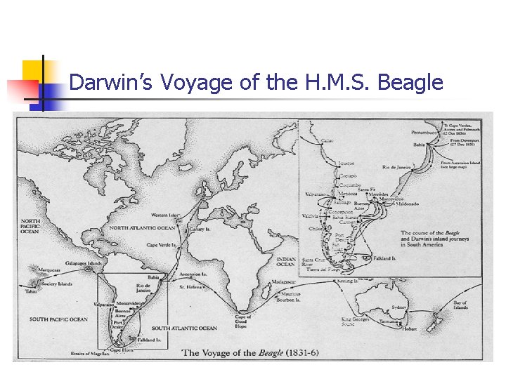 Darwin’s Voyage of the H. M. S. Beagle 