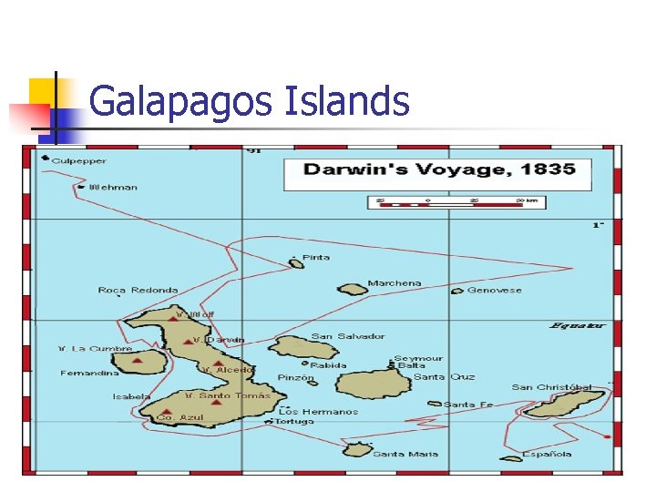 Galapagos Islands 