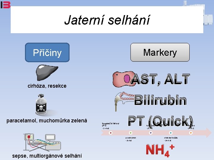 Jaterní selhání Markery Příčiny AST, ALT cirhóza, resekce Bilirubin paracetamol, muchomůrka zelená koagulační faktory