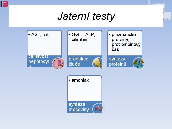 Jaterní testy • AST, ALT celistvost hepatocyt u • GGT, ALP, bilirubin • plazmatické