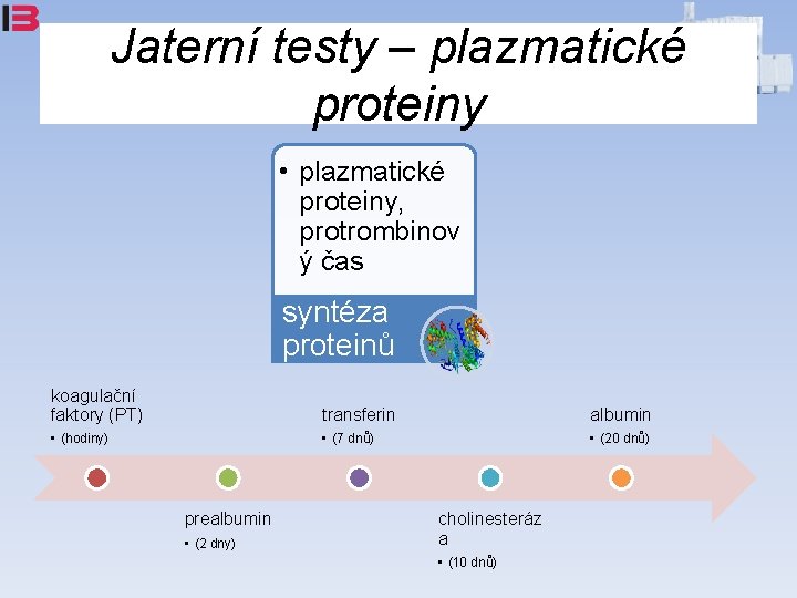 Jaterní testy – plazmatické proteiny • plazmatické proteiny, protrombinov ý čas syntéza proteinů koagulační