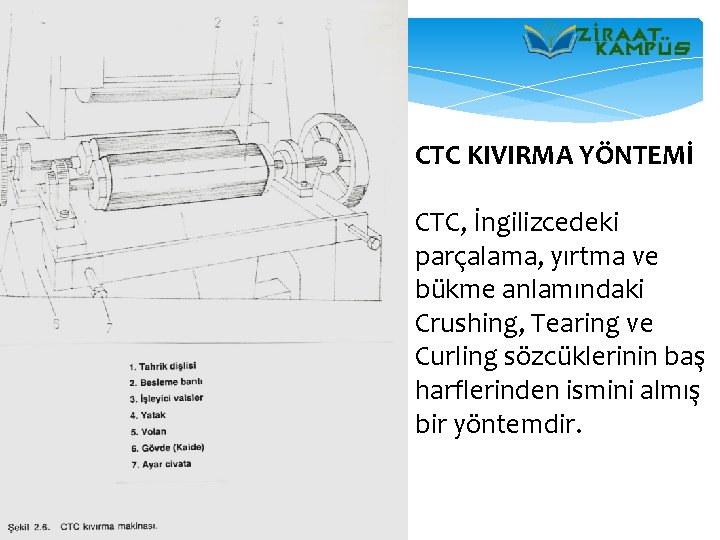 CTC KIVIRMA YÖNTEMİ CTC, İngilizcedeki parçalama, yırtma ve bükme anlamındaki Crushing, Tearing ve Curling