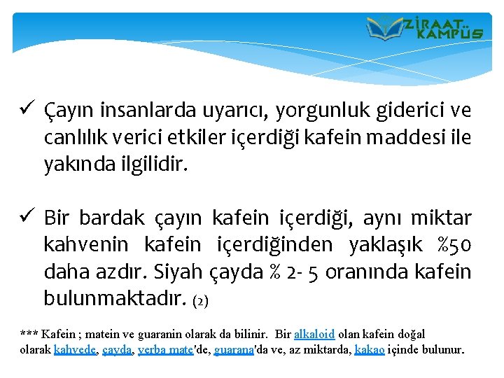 ü Çayın insanlarda uyarıcı, yorgunluk giderici ve canlılık verici etkiler içerdiği kafein maddesi ile