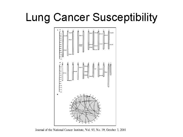 Lung Cancer Susceptibility 