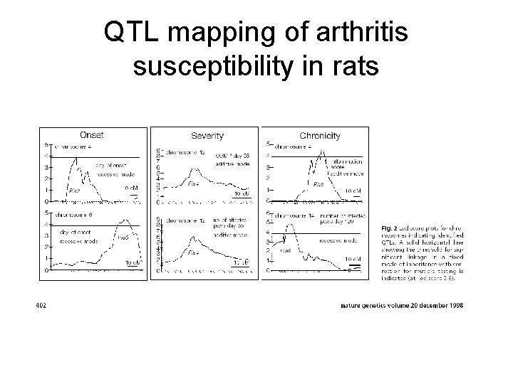 QTL mapping of arthritis susceptibility in rats 