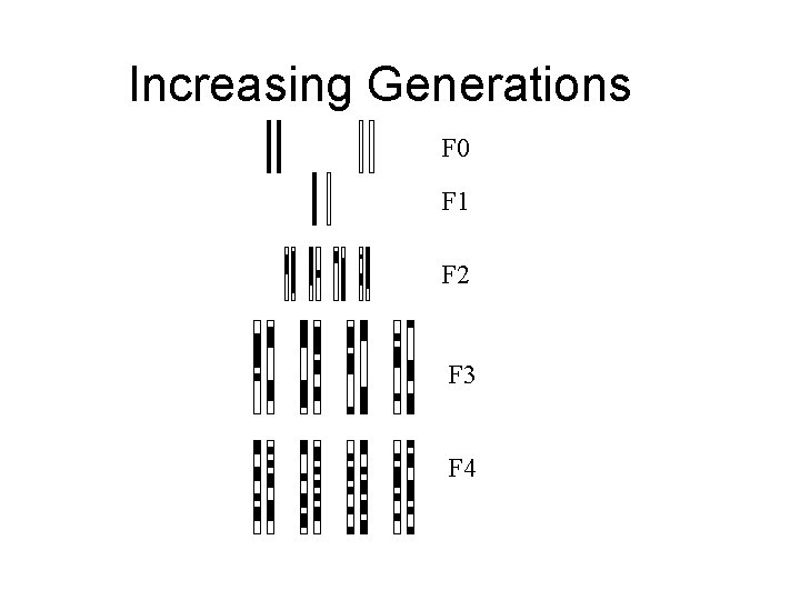 Increasing Generations F 0 F 1 F 2 F 3 F 4 