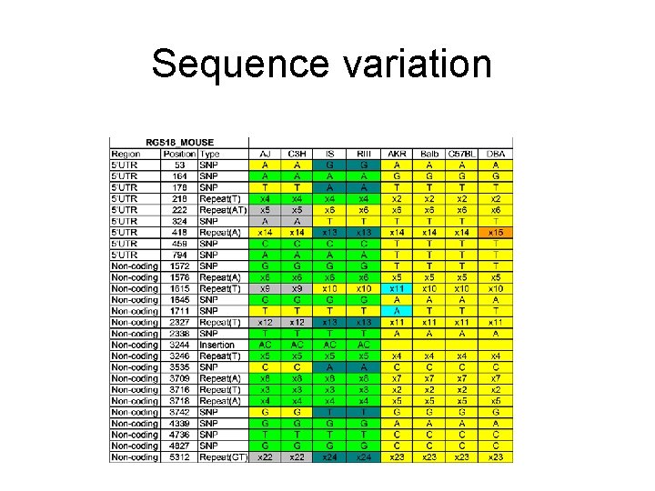 Sequence variation 